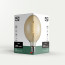Vintlux Filament LED Lamp Karu Globe XL Gold Dimbaar Ø125mm E27 4W - Verpakking