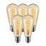 Bundel van 5 Vintlux Filament LED Lamp Karu Edison Gold Dimbaar Ø64mm E27 4W