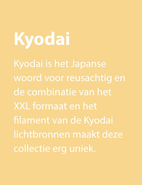 Kyodai info